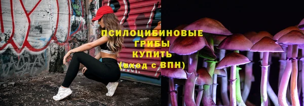дурь Богородск