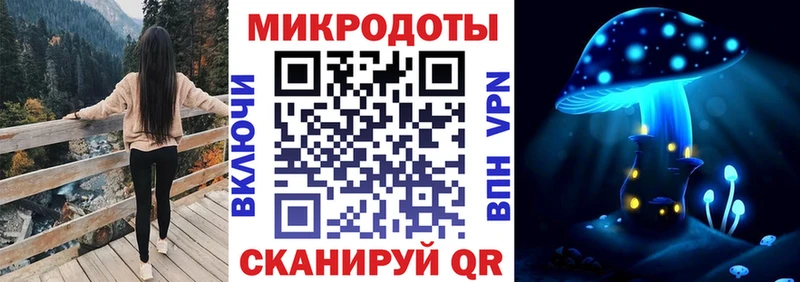 Псилоцибиновые грибы Psilocybine cubensis  Купить  Гремячинск 